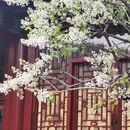 北京旅游 缩略图 7