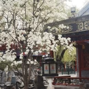 北京旅游 缩略图 13