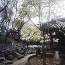 北京旅游 缩略图 14