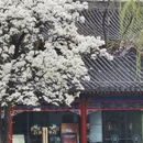 北京旅游 缩略图 12
