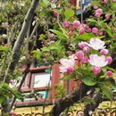 北京旅游 缩略图 16