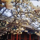 北京旅游 缩略图 18
