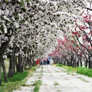 北京旅游 缩略图 6