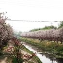 北京旅游 缩略图 7