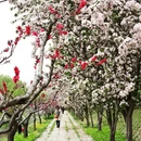 北京旅游 缩略图 4