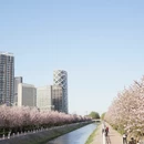 北京旅游 缩略图 9
