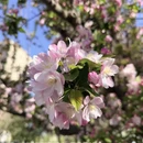 北京旅游 缩略图 2