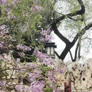 北京旅游 缩略图 9
