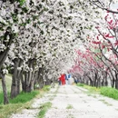北京旅游 缩略图 11