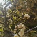 北京旅游 缩略图 4