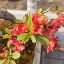 北京旅游 缩略图 3
