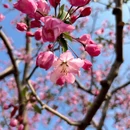 北京旅游 缩略图 6