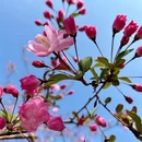 北京旅游 缩略图 2