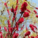 北京旅游 缩略图 7