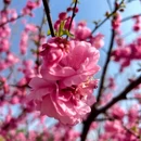 北京旅游 缩略图 9
