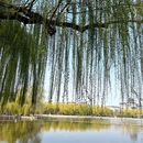北京旅游 缩略图 12