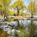 北京旅游 缩略图 14