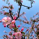 北京旅游 缩略图 13