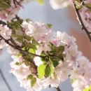 北京旅游 缩略图 8