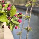 北京旅游 缩略图 7