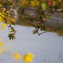 北京旅游 缩略图 3