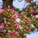 北京旅游 缩略图 2