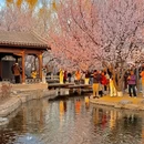 北京旅游 缩略图 7
