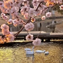 北京旅游 缩略图 6