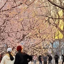 北京旅游 缩略图 4