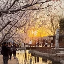 北京旅游 缩略图 9