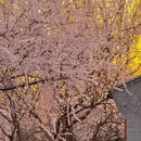 北京旅游 缩略图 12