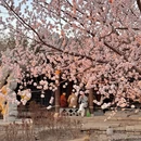 北京旅游 缩略图 18