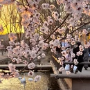 北京旅游 缩略图 14
