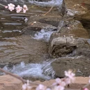 北京旅游 缩略图 13