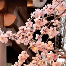 北京旅游 缩略图 10