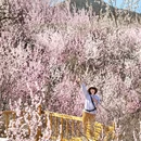 北京旅游 缩略图 1