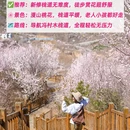 北京旅游 缩略图 5
