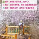 北京旅游 缩略图 4