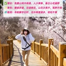 北京旅游 缩略图 10