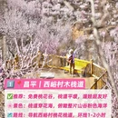 北京旅游 缩略图 2