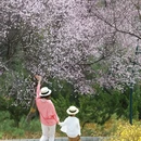 北京旅游 缩略图 12