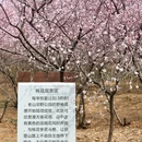 北京旅游 缩略图 13