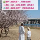 北京旅游 缩略图 9