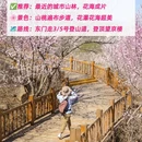 北京旅游 缩略图 8