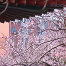 天津旅游 缩略图 3