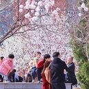 天津旅游 缩略图 14