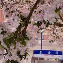 天津旅游 缩略图 2