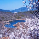 北京旅游 缩略图 4
