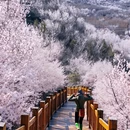 北京旅游 缩略图 1