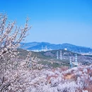 北京旅游 缩略图 7